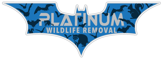 Wildlife Control Gibson County